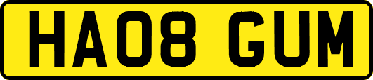 HA08GUM
