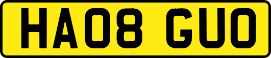 HA08GUO
