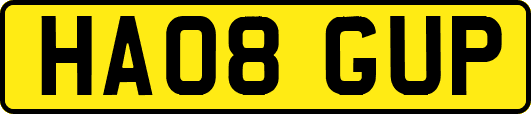 HA08GUP