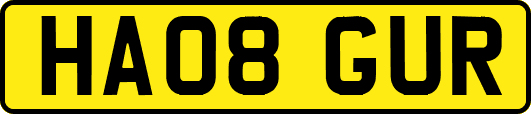 HA08GUR