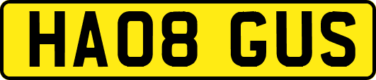 HA08GUS