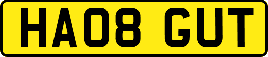 HA08GUT