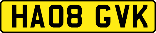 HA08GVK