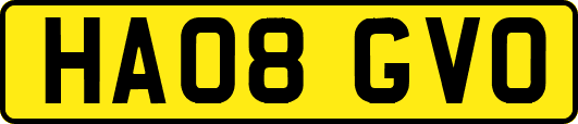 HA08GVO