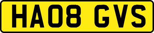 HA08GVS