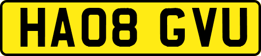HA08GVU