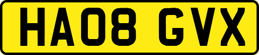 HA08GVX