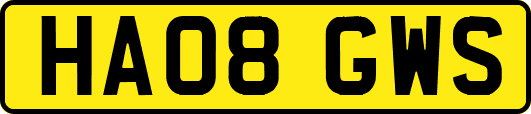 HA08GWS