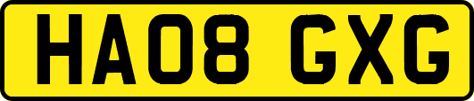 HA08GXG