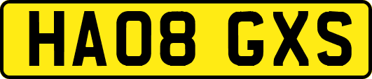 HA08GXS