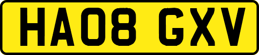 HA08GXV