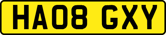 HA08GXY