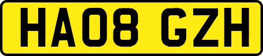 HA08GZH