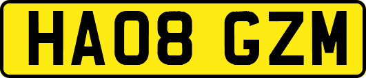 HA08GZM