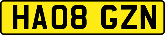 HA08GZN