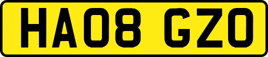 HA08GZO