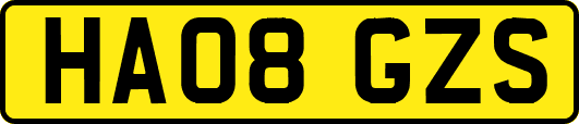 HA08GZS