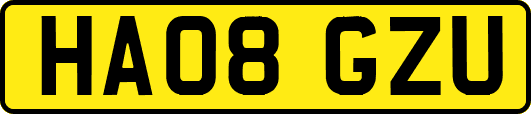 HA08GZU