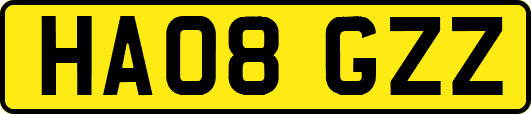 HA08GZZ