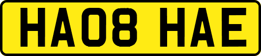HA08HAE