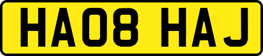 HA08HAJ