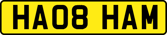 HA08HAM