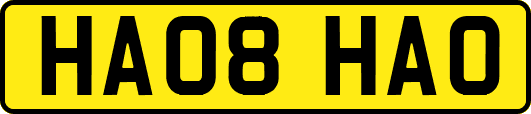 HA08HAO