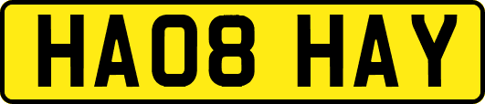 HA08HAY