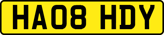 HA08HDY