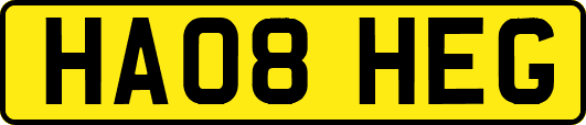 HA08HEG