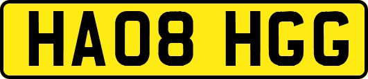 HA08HGG