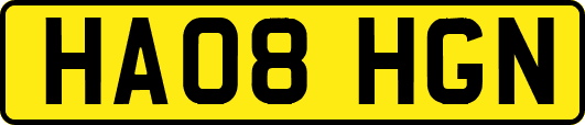 HA08HGN