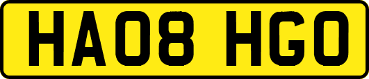 HA08HGO