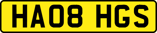 HA08HGS