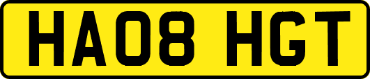 HA08HGT