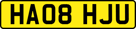 HA08HJU
