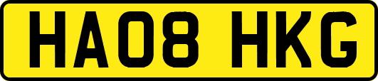 HA08HKG
