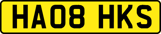 HA08HKS