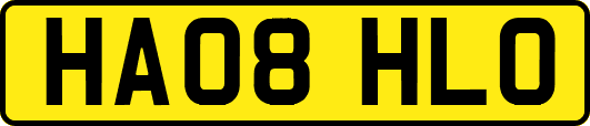 HA08HLO