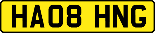 HA08HNG