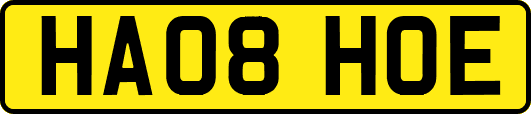 HA08HOE