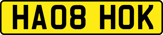 HA08HOK