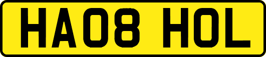 HA08HOL