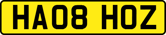 HA08HOZ