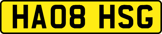 HA08HSG