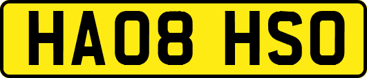 HA08HSO