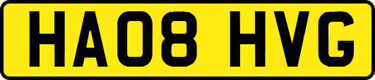 HA08HVG