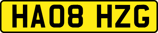 HA08HZG