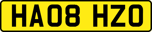 HA08HZO
