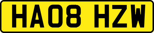 HA08HZW
